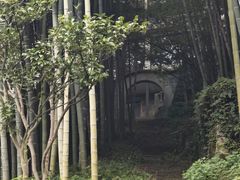 -莫干山风景区
