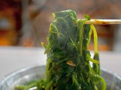 豌豆苗-正宗梧州牛肠酸