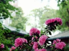 -大妙火锅·非物质文化遗产(东湖公园店)