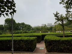 -郑州植物园