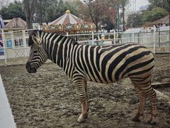 -国色天乡三期陆地乐园