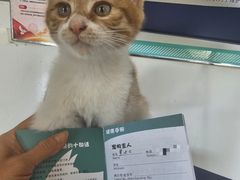-瑞派福兴宠物医院犬猫全科·骨科·中西医结合(河东店)
