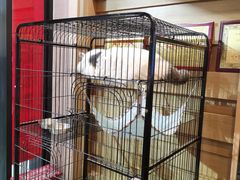 -四季暖堂·融合江浙菜(N1955创业园店)