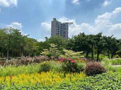-映月湖公园