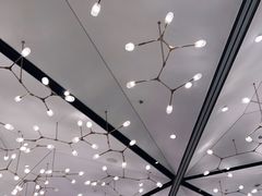 -上海世茂皇家艾美酒店