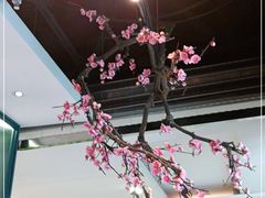 -老板恋上鱼(振华商厦店)