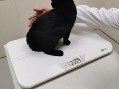 -宠颐生宠物医院·犬猫全科·皮肤科(商业街店)