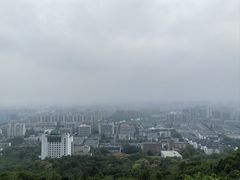 -杭州半山国家森林公园