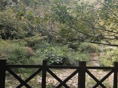 -杭州半山国家森林公园