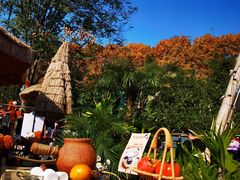 -HERRE·FARM 赫尔露营农场·团建聚会包场