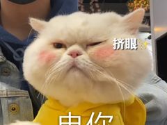 -Sweet Color美瞳隐形眼镜店(九亭金地广场店)