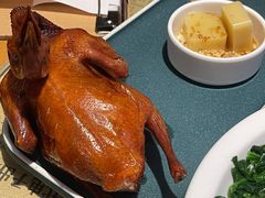 红烧乳鸽-大鸽饭(北京路店)