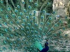 -宁波野生动物园