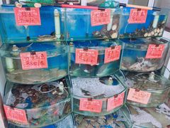 水产区-北戴河庆山饭店·海鲜砂锅粥(北戴河黑石路店)