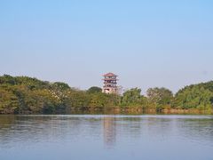 -大湾区中央湿地公园