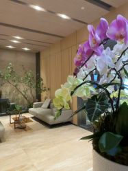 -恒美雅轩·品牌直营连锁