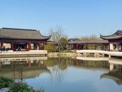 -上海滨江森林公园