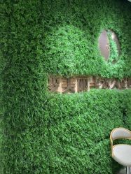 -变美丽半永久纹眉连锁·机器野生眉•洗眉