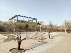 -吉林大学(前卫南区)
