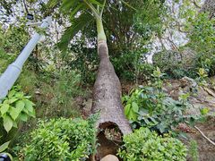-鹿回头风景区