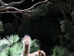 -陕西自然博物馆