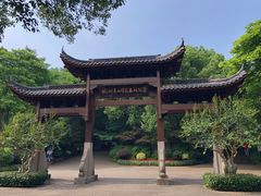 -杭州半山国家森林公园