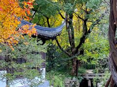 -复旦大学附属华山医院(总院)