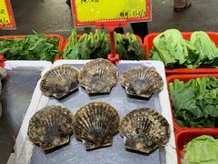 -蚝专家(北滘店)