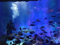 -沈阳海洋探索中心