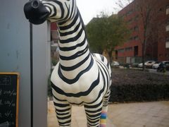 -ZOO COFFEE 动物园咖啡(亦庄店)