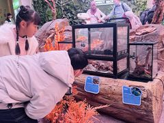 -陕西自然博物馆