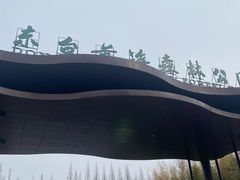 -黄海国家森林公园