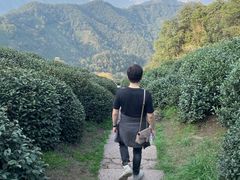 -龙井壹号·茶缘山景宴(龙井村店)