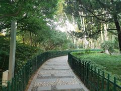 -西安市长乐公园