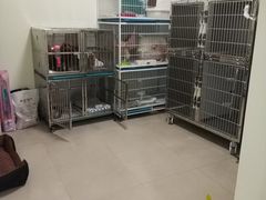 寄养环境-仁普宠物诊所(住友昌盛新苑店)