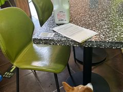 -油梨树AVOCADO TREE(顺义新国展店)