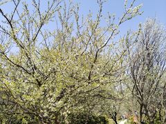 -名花谷生态庄园