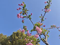 -苏州上方山国家森林公园
