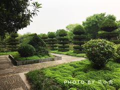 -洛阳市隋唐城遗址植物园
