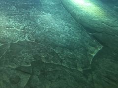 -白鹤梁水下博物馆