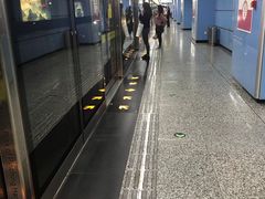 -大龙山(地铁站)