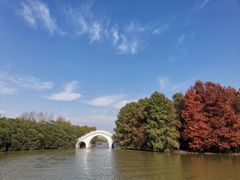 -上海海湾国家森林公园