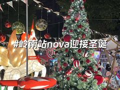 -岭南站NOVA