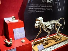 -国家自然博物馆