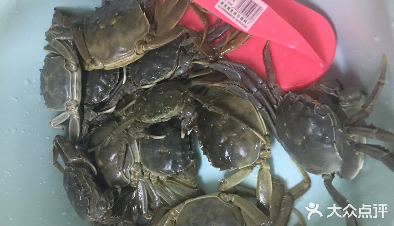 鬼怪[鬼脸]美味菜谱系列之：清蒸螃蟹