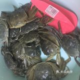 鬼怪[鬼脸]美味菜谱系列之：清蒸螃蟹