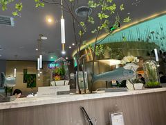 -青花椒花椒鱼(合生汇店)