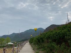 -密云玫瑰情园