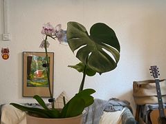 -ABCD咖啡屋(妇幼店)