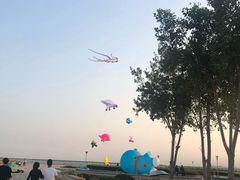 -东疆建设开发纪念公园